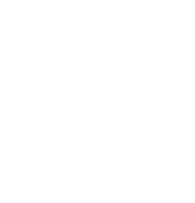 Logo PP Linked in