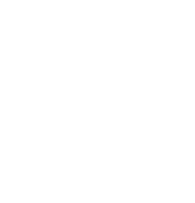Logo PP Youtube