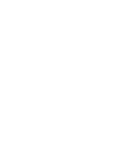 Logo PP instagram