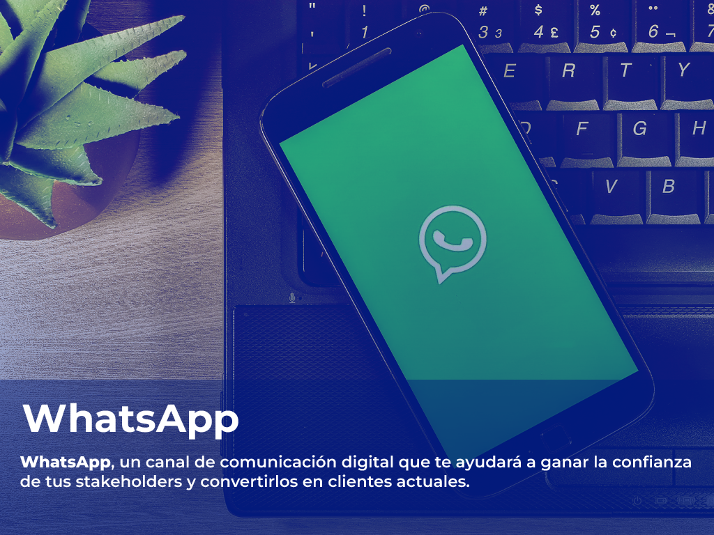 img Whatsapp