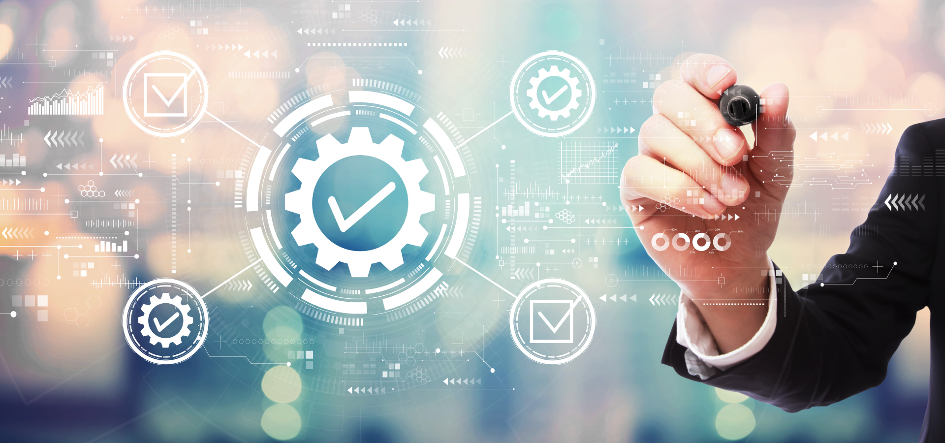 Proveedores procesos