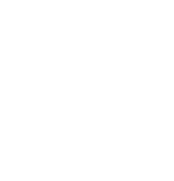 Logo PP x